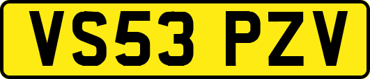 VS53PZV