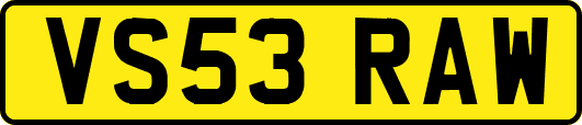 VS53RAW