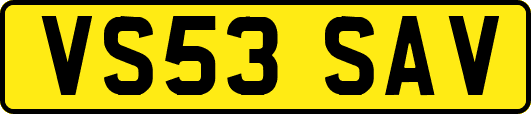 VS53SAV