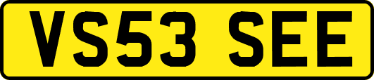 VS53SEE