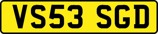 VS53SGD