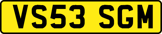 VS53SGM