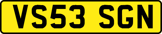 VS53SGN