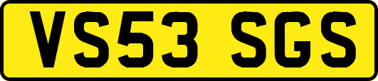 VS53SGS