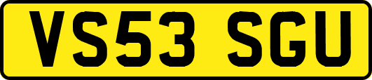 VS53SGU
