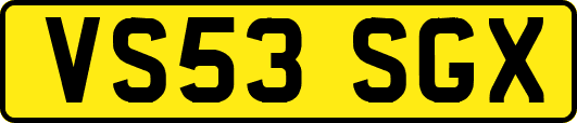 VS53SGX