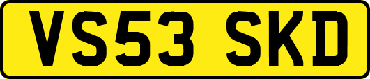VS53SKD