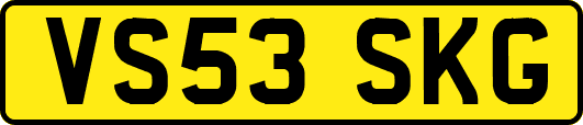 VS53SKG