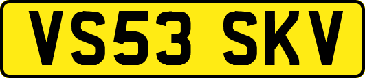 VS53SKV