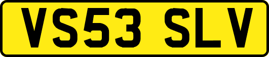 VS53SLV