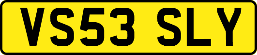 VS53SLY