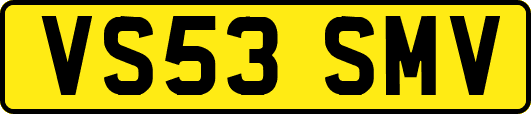VS53SMV