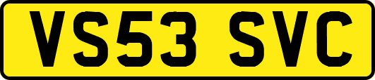 VS53SVC