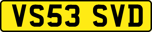 VS53SVD
