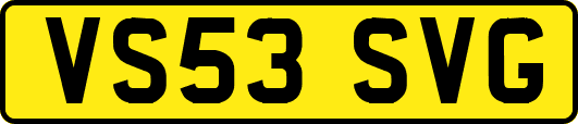 VS53SVG