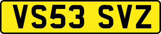 VS53SVZ
