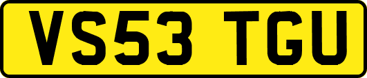 VS53TGU