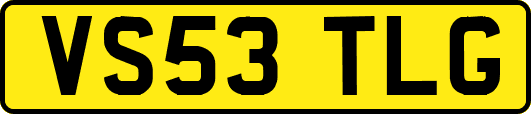 VS53TLG