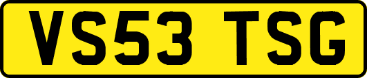 VS53TSG