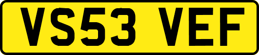 VS53VEF