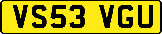 VS53VGU