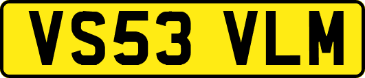 VS53VLM