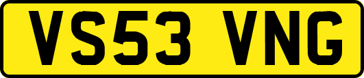 VS53VNG