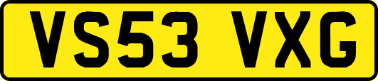 VS53VXG