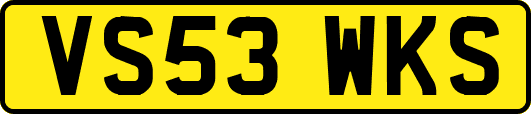 VS53WKS