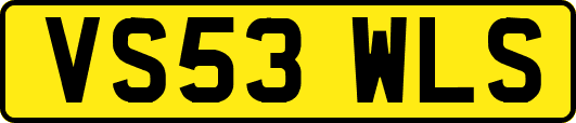 VS53WLS