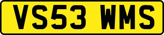 VS53WMS