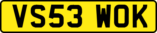 VS53WOK