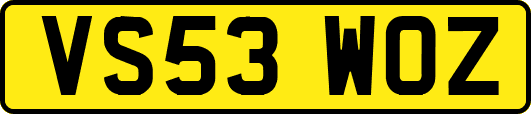 VS53WOZ