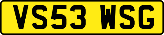 VS53WSG