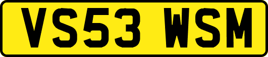 VS53WSM