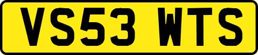VS53WTS
