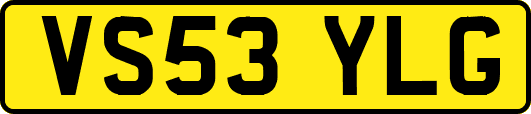 VS53YLG