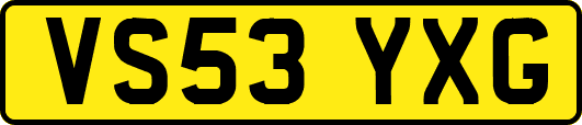 VS53YXG