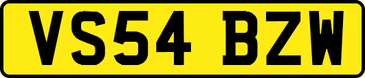 VS54BZW