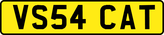 VS54CAT