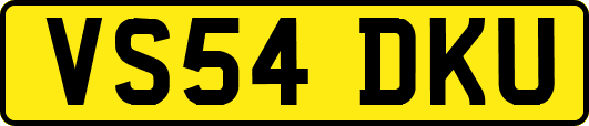 VS54DKU