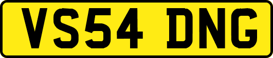 VS54DNG