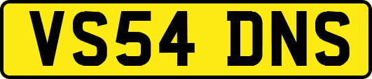 VS54DNS
