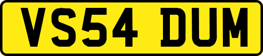 VS54DUM