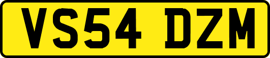 VS54DZM