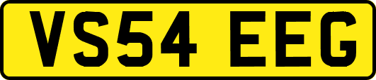 VS54EEG