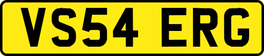 VS54ERG