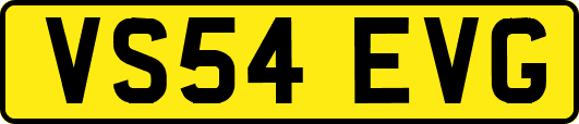 VS54EVG