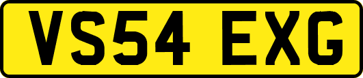 VS54EXG