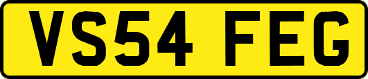 VS54FEG